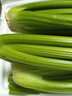京鲜生山东新鲜大西芹净重4.5斤榨汁现挖芹菜鲜嫩蔬菜 去半叶源头直发 实拍图