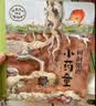 【2026读者嘉年华】给孩子的神奇植物课（套装共2册） 【3-6岁】狐狸家著 实拍图