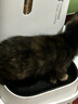 领先烘焙猫粮鲜鸡肉羊奶低温无谷幼成猫猫粮1.5kg*5（新老款随机发） 实拍图