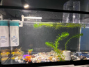 独宠你客厅负压鱼缸桌面真空悬浮支架创意一体缸生态缸黑色大号 实拍图