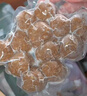 潮夫道牛肉丸潮汕手打250g 火锅食材关东煮丸子丸料空气炸锅生鲜麻辣烫 实拍图