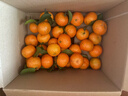 京地达广东砂糖橘新鲜水果净重3斤中大果35-45mm源头直发包邮 实拍图