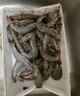 虾有虾途国产青岛大虾白虾青虾基围虾鲜虾冷冻生鲜虾类活冻特大海捕整箱装 16-18厘米 3斤(净重) 实拍图