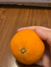 京鲜生 四川爱媛38号果冻橙 净重5斤 单果130g起 生鲜水果柑橘桔子礼盒 实拍图