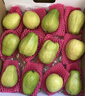 京觅福建软红心芭乐 番石榴 应季低糖净重4.5斤 单果150g  源头直发 实拍图