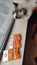 普安特宠物猫咪驱虫药体内外同驱跳蚤犬虱非泼罗尼爱滴克+内驱 实拍图