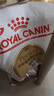 皇家猫粮 波斯成猫粮 P30 通用粮 12月以上 2KG 实拍图