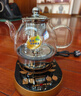 金灶（KAMJOVE） 煮茶器喷淋式全自动煮茶壶 玻璃养生壶烧水壶蒸煮一体恒温电热水壶冲泡茶煮花茶黑茶A-99 全自动喷淋煮茶壶 0.8L 实拍图