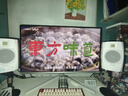 飞利浦EVNIA弈威 31.5英寸4K240Hz QD-OLED动态智冷 原生10bit 0.03ms 音响 O8电竞显示器 国补32M2N8800 实拍图