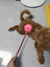 波奇多 宠物爱心拍 大号(62cm)打狗棍训犬皮鞭子马犬训练猫轻便训狗神器 实拍图