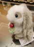 TRUDI公主裙白月光兔子毛绒玩具小白兔公仔玩偶娃娃生日情人节礼物27cm 实拍图
