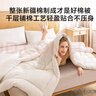 京东京造100%天然新疆棉花被 纯棉被芯双人被子 春秋被4.6斤2x2.3m 实拍图