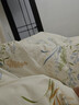 雅鹿大豆纤维被子棉被加厚冬季被芯8-10斤春秋被宿舍单双人空调小薄被 棉豆豆-米黄 150*200cm-重约5斤【冬被】 实拍图
