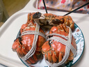 【活蟹】漁家师傅大闸蟹公4.5-4.8两母3.5-3.8两4对8只 去绳足重鲜活螃蟹生鲜水产礼盒 实拍图
