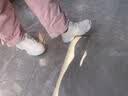 里奇.乔丹   RICKY JORDAN儿童 旋转扣白色运动鞋 男童小白鞋女童鞋子中大童小学生跑步鞋 2023皮面全白 2023皮面全白 四季款 27 码/内长约17.5CM 实拍图