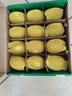 佳沛（zespri）新西兰 阳光金奇异果12粒礼盒特大果单果约122-146g 猕猴桃 水果 实拍图