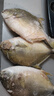 东上御品 国产 新鲜冷冻海鱼国产大号金鲳鱼净重500-600g/条*3条-源头直发 实拍图