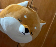 名创优品（MINISO）柴犬系列毛绒公仔趴姿玩具娃娃抱枕睡觉卧室办公室生日圣诞礼物 实拍图