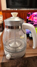 金灶（KAMJOVE） 养生壶煮茶器喷淋式煮茶炉白茶壶黑茶壶办公室家用蒸汽煮茶壶1L 白色 1L 实拍图