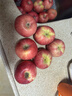 洛川苹果陕西延安时令苹果水果礼盒礼品苹果生鲜新鲜脆甜整箱好吃 40枚85mm量贩装 礼盒款 实拍图