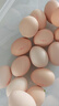 京鲜生【每日鲜蛋】无抗谷物鸡蛋30枚3.78斤 当日产蛋 当日发货 实拍图