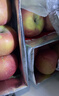 京鲜生 塞外红 阿克苏苹果礼盒 净重5斤  单果180g起 实拍图