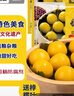 在旗黏豆包黄米红豆500g*2袋 20个 东北粘豆包杂粮儿童早餐年货半成品 实拍图