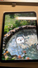 Apple/苹果 iPad11英寸 A16芯片2025年款 平板电脑 (256GB WLAN版/学习办公娱乐)银色 实拍图