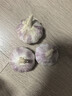 京鲜生河南杞县大蒜带皮干蒜净重5斤单果5.5-6cm 源头直发包邮 实拍图