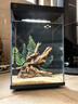 米家智能桌面鱼缸+画法几何仿蕨类沉木造景套餐 实拍图