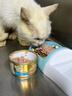 珍致猫罐头刺身罐85g*24罐金罐猫零食猫湿粮泰国进口金枪鱼口味 实拍图