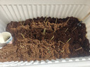 漫生活56L营养土通用型 花土有机土进口泥炭土种菜土多肉兰花种植土壤 实拍图