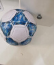 匹克足球4号儿童成人中考标准世界杯比赛训练青少年小学生幼儿蓝 实拍图