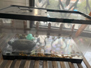 Barbarous Growth乌龟饲养缸生态造景家用带盖小型别墅爬台底部排水专用箱巴西龟缸 盖板+水培晒台+养龟礼包 大号-40*20.5*22.5cm 黑色【防逃逸|加厚|加高】 实拍图