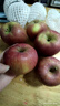 2025正宗云南昭通冰糖心丑苹果新鲜水果苹果当季脆甜水果产地直发 3斤装大果（80-90mm） 实拍图