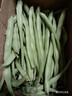农家四季豆新鲜现摘云南长扁豆角农家应当季蔬菜芸豆现摘菜豆 新鲜四季豆2斤带箱 实拍图