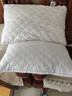 洁丽雅（Grace）纤维枕 星级酒店枕头枕芯 46*72cm 一对装（2只装） 实拍图