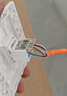 山泽超五类网络模块 CAT5e免打网线面板模块 RJ45水晶头母座电脑网口插座连接头直通头 MKC51 实拍图