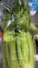 京鲜生云南高原水果西芹 净重4斤装 新鲜采摘 源头直发  实拍图
