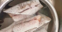 深海鳕鱼大西洋新鲜现切鳕鱼尾速冻正宗鳕鱼冷冻发货鳕鱼尾段 10斤超值装 实拍图