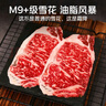 春禾秋牧 澳洲和牛M9谷饲西冷火锅&烧烤肉片130g/2片 牛肉生鲜 源头直发 实拍图