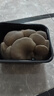 房山平菇300g 实拍图