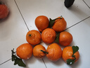 三萌果蔬不知火丑橘 四川当季新鲜丑八怪粑粑柑橘子水果整箱送礼 5斤优选装【单果60mm+】净重4.5斤 实拍图