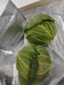 京鲜生山东新鲜绿甘蓝净重5斤单果200g+卷心菜甘蓝新鲜蔬菜 源头直发 实拍图