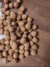 新疆特产新货红皮核桃薄壳红肉核桃天然坚果零食品官方正品 稀有红皮核桃250g【大补阳气】 实拍图