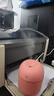 加湿器家用空气加湿器净化器香薰机空调房加湿器喷雾器usb静音卧室孕妇婴儿喷雾宿舍学生女生礼物 标准款【少女粉220ML+纳米雾化+静音加湿】 实拍图
