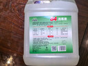【消毒杀菌】好宜佳84消毒液大桶装酒店餐厅宿舍家用漂白消毒除菌 五斤装（家庭装） 实拍图
