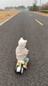 babycare儿童平衡车四轮滑行滑步车宝宝学步车无踏板1-3岁周岁礼物 辛德白 实拍图