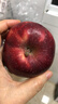 京鲜生 甘肃天水花牛苹果 又大又红 净重4斤 单果160g起  新鲜水果  实拍图