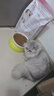 皇家幼猫猫粮 幼猫奶糕 K36 通用粮 4-12月 2KG 实拍图